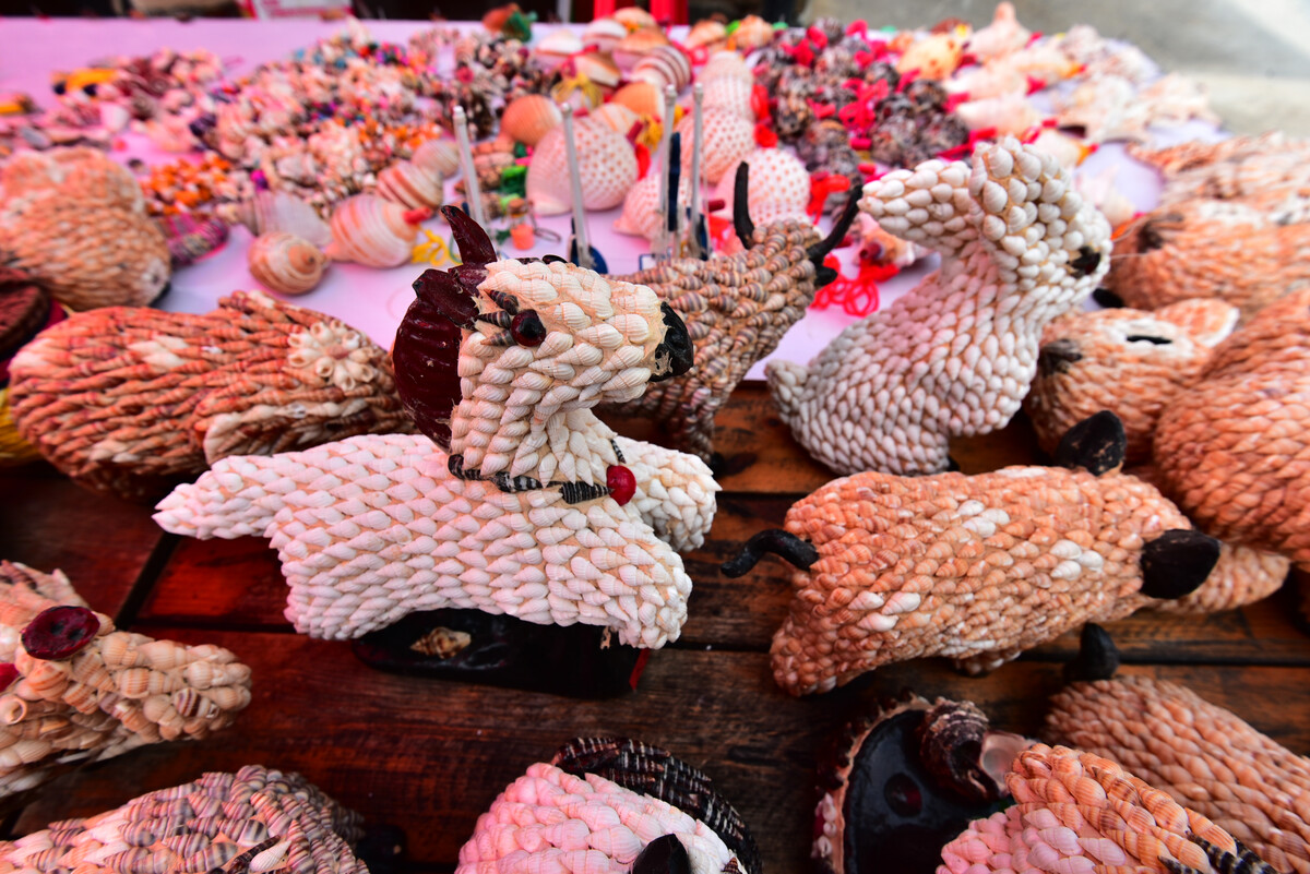 海岛村贝壳工艺品的设计与创作之道